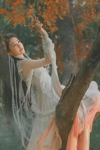 Đỉnh Núi Nhà Tôi Thông Niên Đại