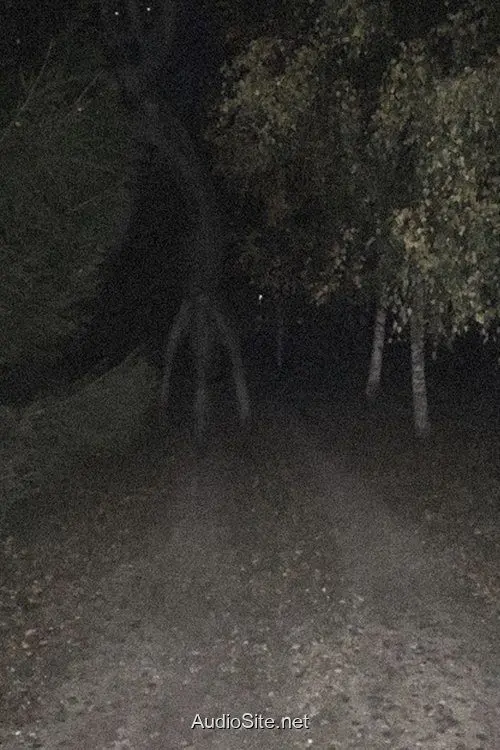 Biệt Thự Hồi Sinh: Bóng Ma Halloween